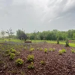 Siesta Forest Relaxing Park