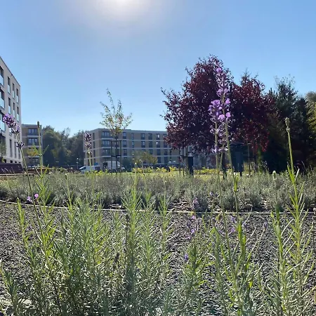 Siesta Forest Relaxing Park *