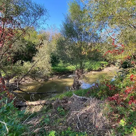 Siesta Forest Relaxing Park Krakau