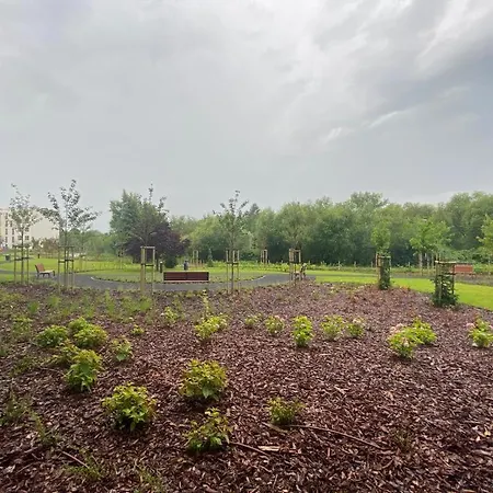 Siesta Forest Relaxing Park