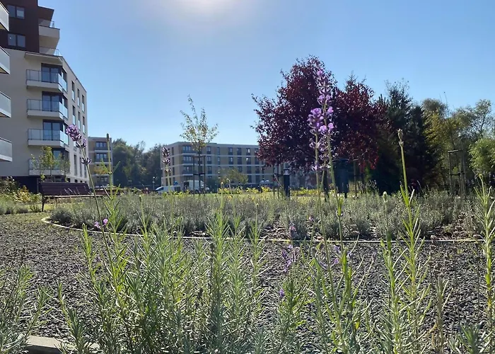 Siesta Forest Relaxing Park *