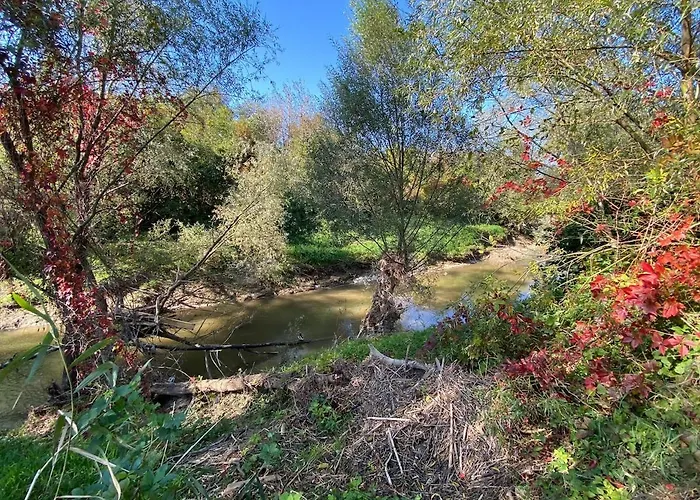 Siesta Forest Relaxing Park Kraków
