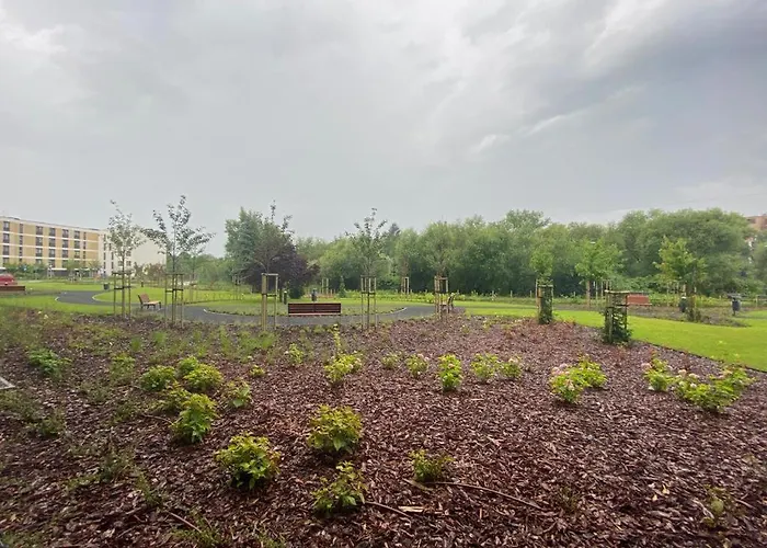 Siesta Forest Relaxing Park