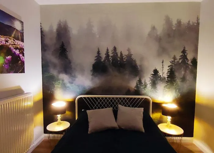 Siesta Forest Relaxing Park Cracovia