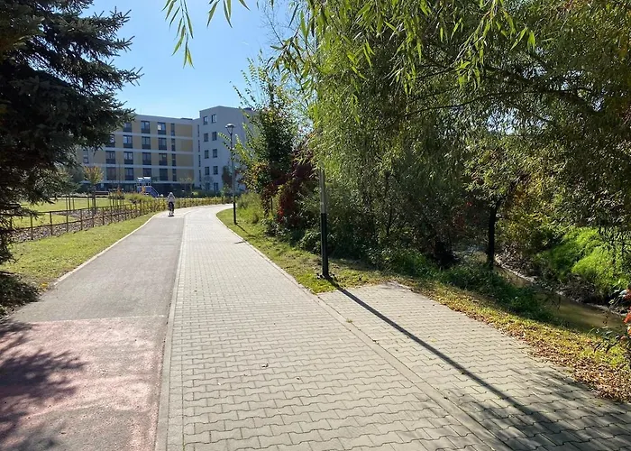 Siesta Forest Relaxing Park Cracovia